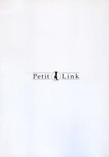 [Nagano Akane] Petit Link 2-[永野あかね] プチりんく 2