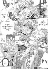 Immoral princess knight 05 (korean)-不道徳な姫騎士 05 (韓国語)